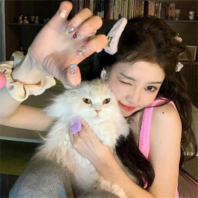 乌冬面之国的金色毛球